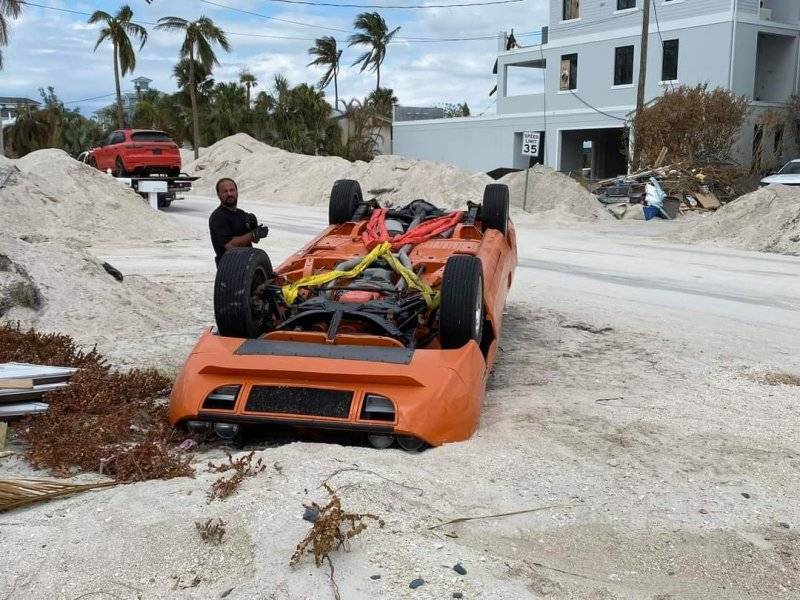 00 Bird Flip (2).jpg