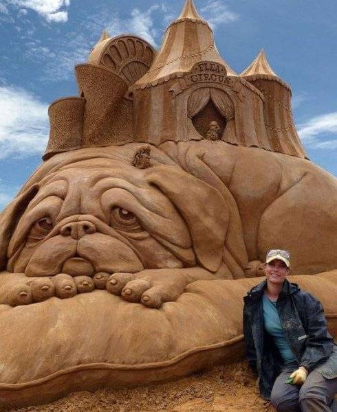 000 Sand Dog.jpg