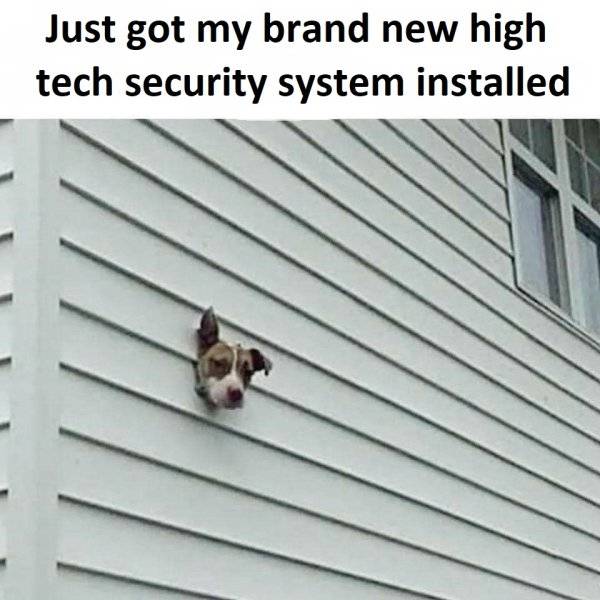 0000000000 732pc.jpg