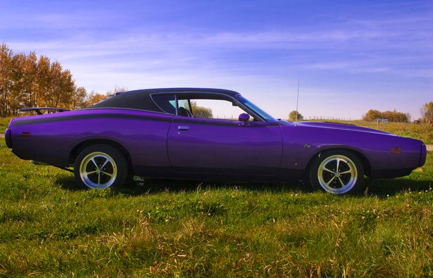 00011971PlumCrazySuperbee.jpg