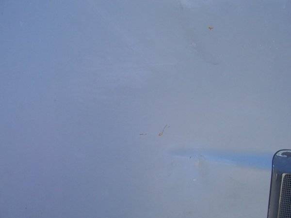 000_0596.JPG