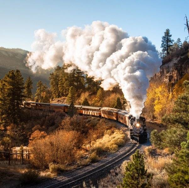 00fall-train-trips-ds1-mediumSquareAt3X.jpg