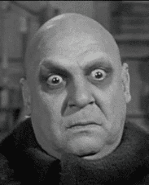 01 Fester.png