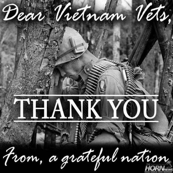 01f7b123d35516d888579797c334c39e--veterans-day-photos-vietnam-vets.jpg