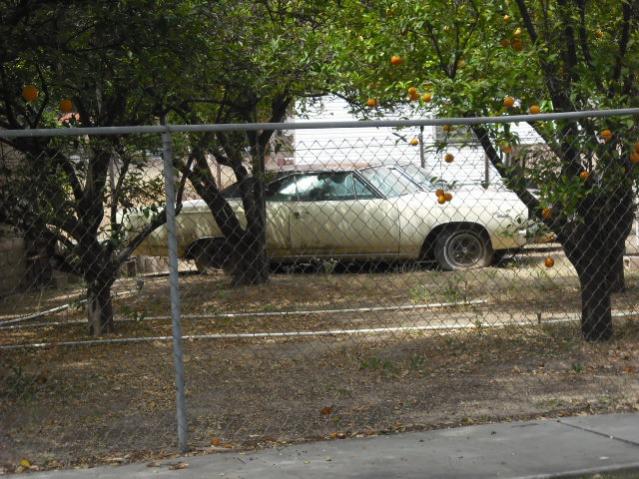 04.28.09.FINDS 001.jpg