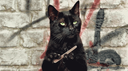 06FE34F0-C512-4B23-AC43-D47C03AE9E30.gif