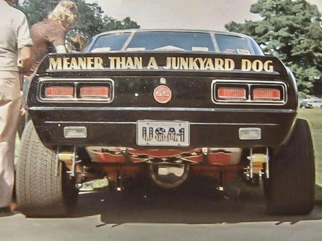 07a07cfcb5153e87493de4ec9018483d--junkyard-dog-dogs.jpg