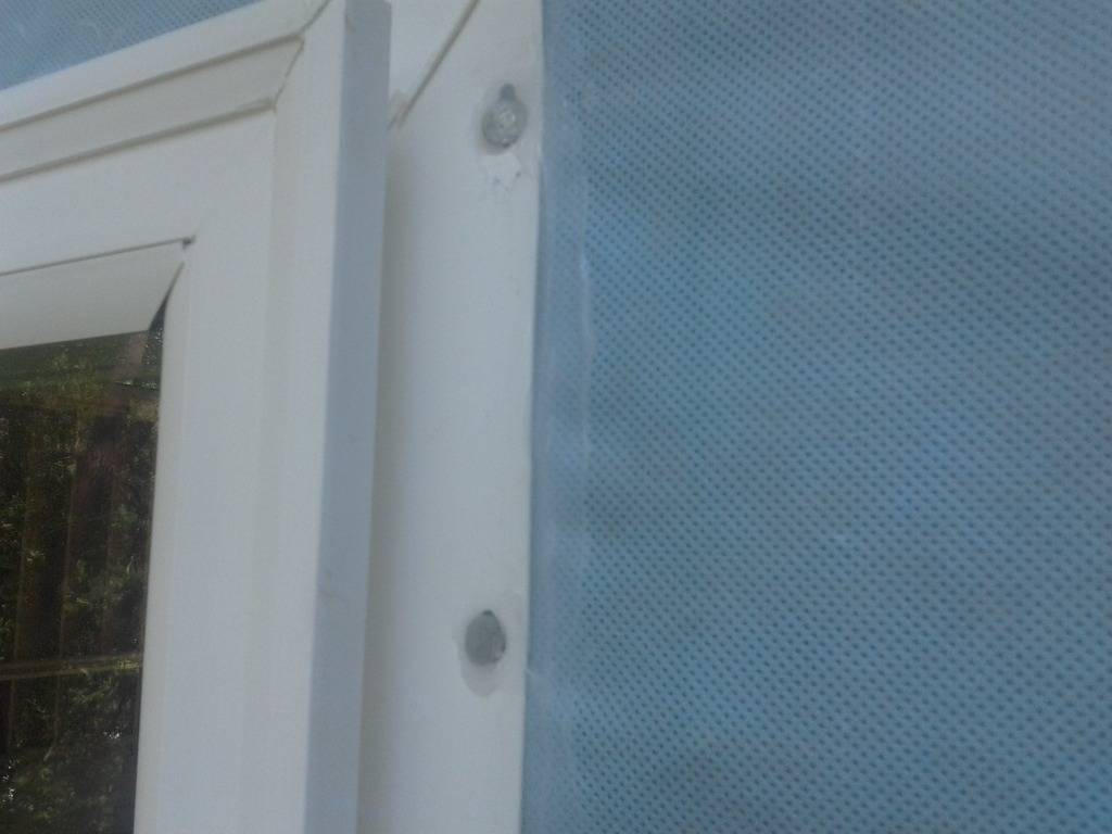 0821171150a.jpg