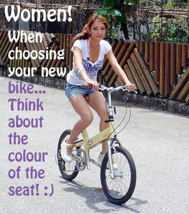 0d6e28968be0a7d41cc134e99aaf2658--bike-seat-bicycles.jpg
