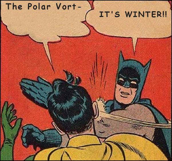 1-polar-vort-toon.jpg