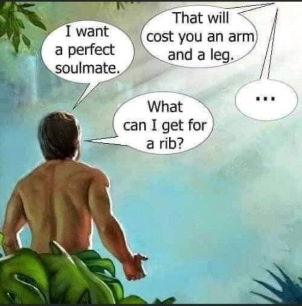 1 rib.jpg