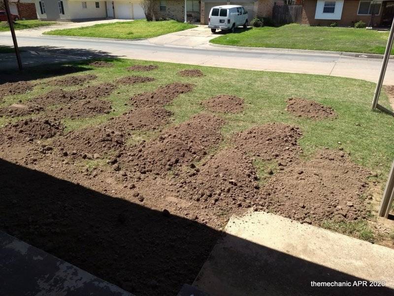 1-Topsoil leveling front lawn.jpg