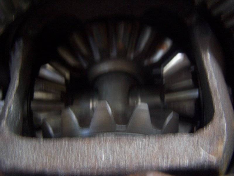 100_1133.JPG