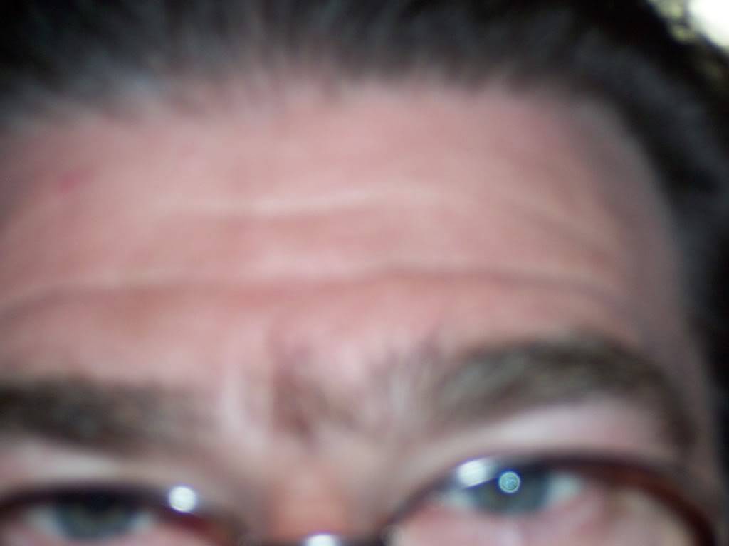 100_2160.jpg