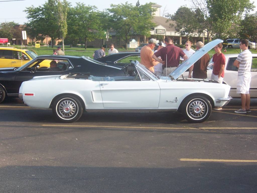 100_4939.jpg