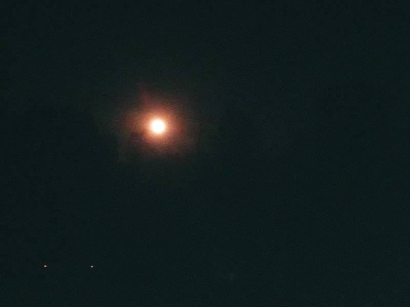 1010221946.jpg