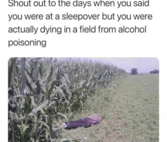 10e2477befb32765630e84baf1744bf5d634e6f95d30910815286b0fe2a581b4.png