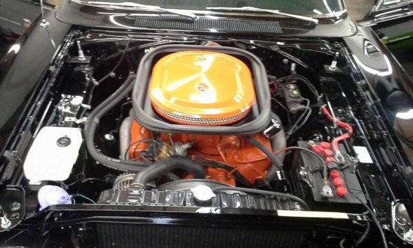11081054_888585424539793_8713354802566848782_n.jpg