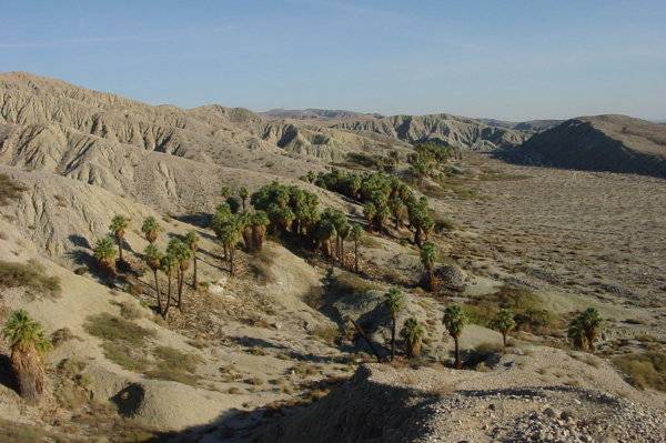 1200px-CoachellaValleyPreserve.jpg