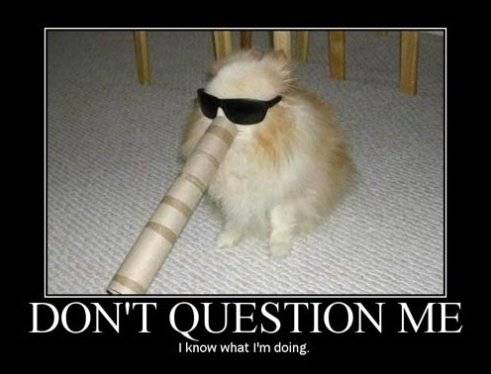 12243-I-8217-m-a-expert.jpg