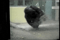 1454C623-3FD4-4801-8BE9-15463E9C6530.gif