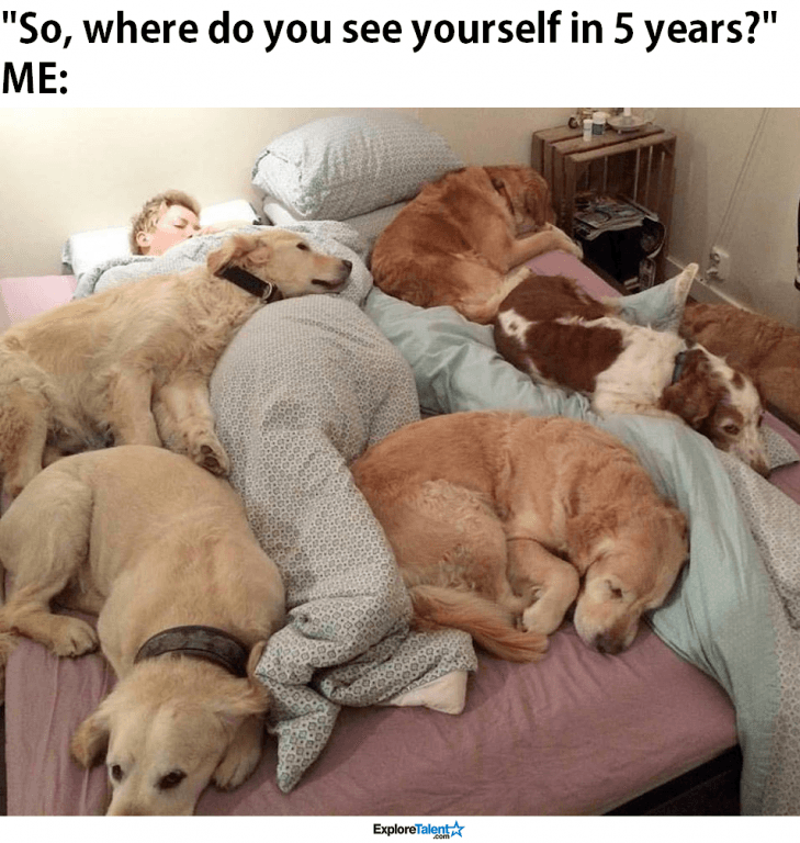 15896312_10155002340763945_7929364053205190572_o.png
