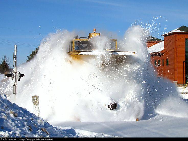 1590b451e5c92f03054811ac98970853--snow-plow-a-lion.jpg