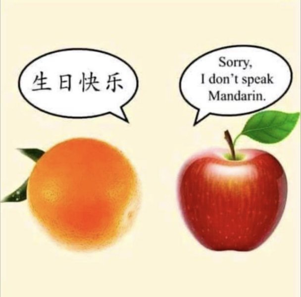 15CF4953-7209-496B-8E9B-9479B70FB3D7.jpeg
