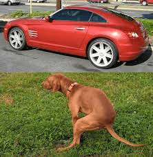 1654942302694.png