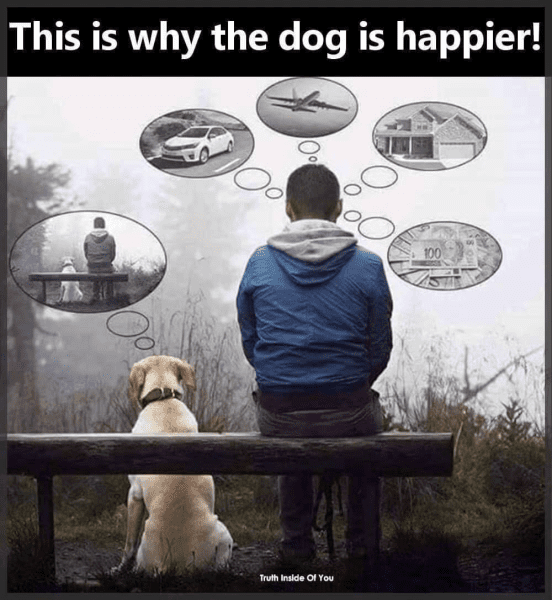 1658450004347.png