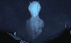 1660737424381.png