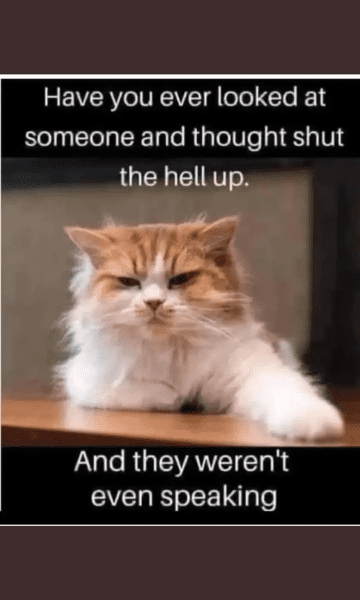 1679781086086.png