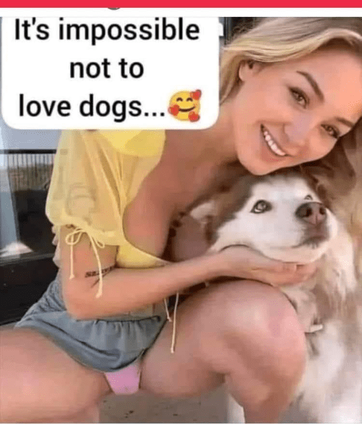 1685726142868.png