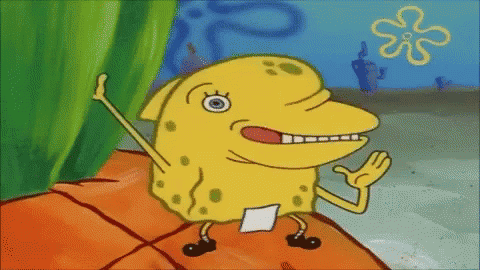 1687231128838.png