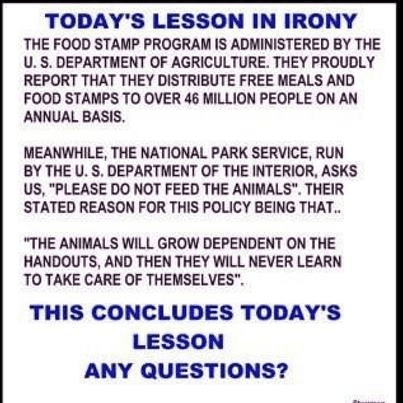 1690314446091.png