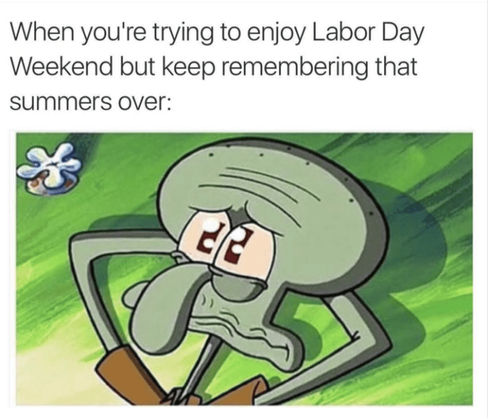1693820336702.png