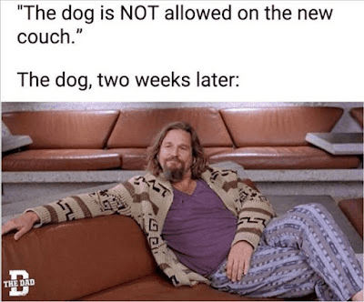 1694231402898.png