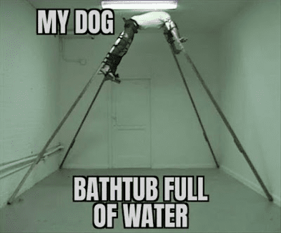 1696995373645.png