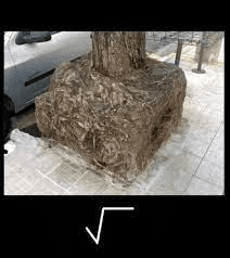 1700662086142.png