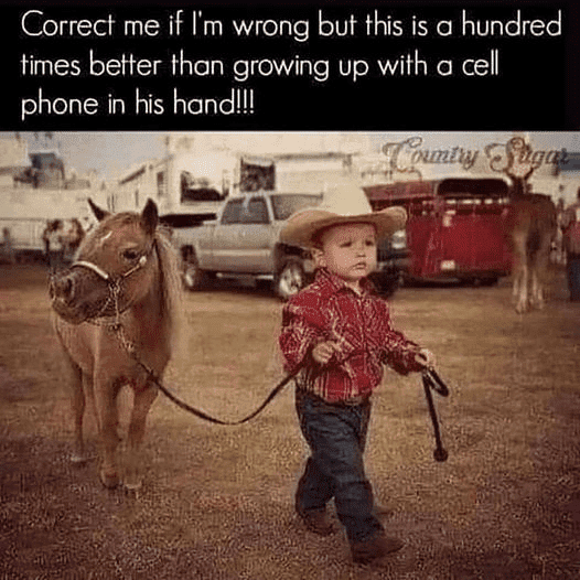 1702591219341.png
