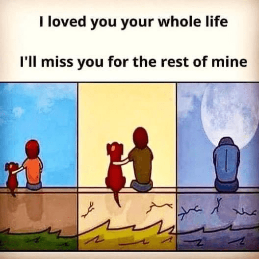 1704943662724.png