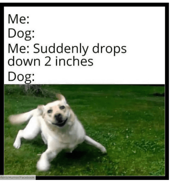 1704970951005.png