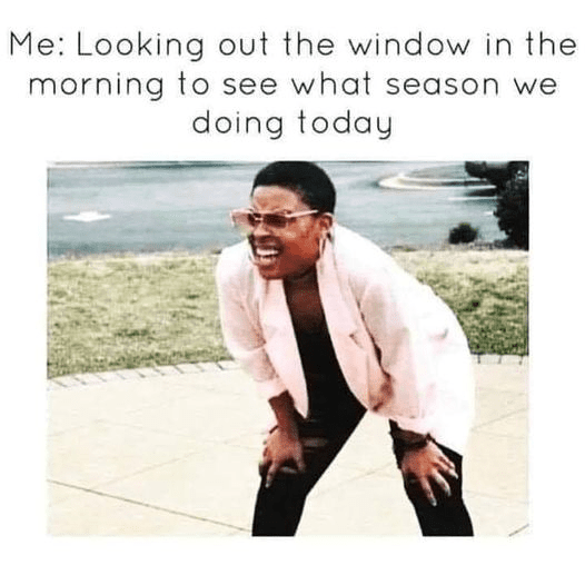 1709468139008.png