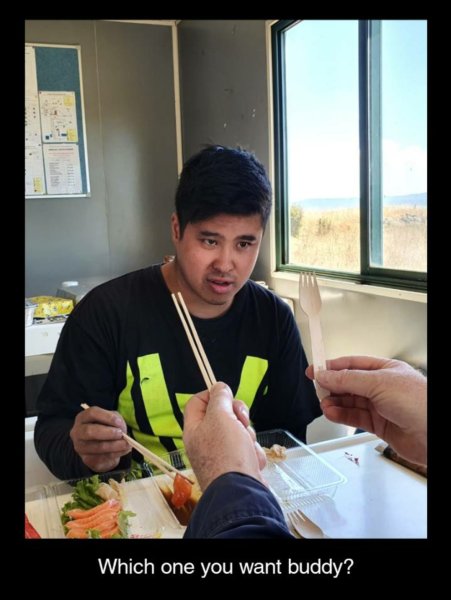 1711775149484.jpeg