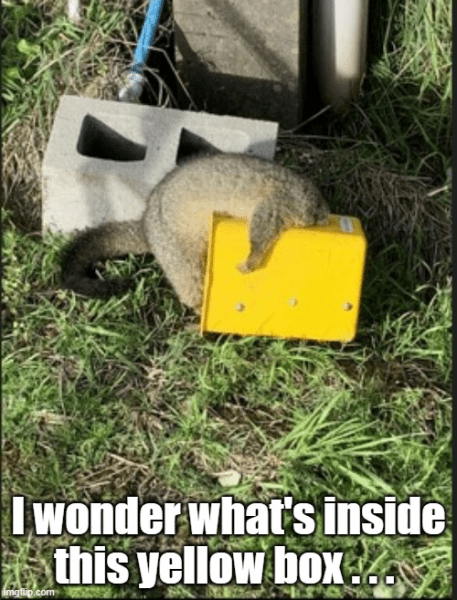 1715741820059.png