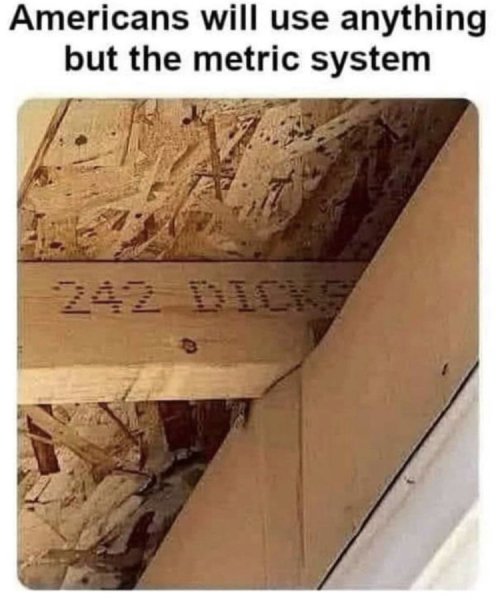 1716723592472.jpeg