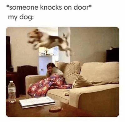 1716753061773.png