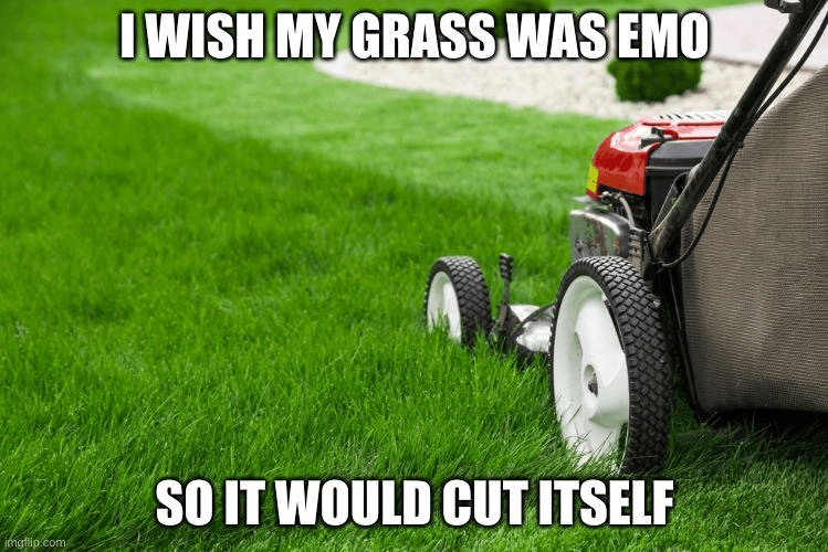 1719173395416.png