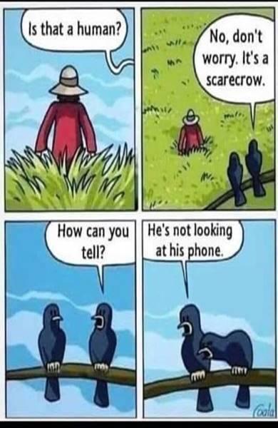 1719223419393.jpeg