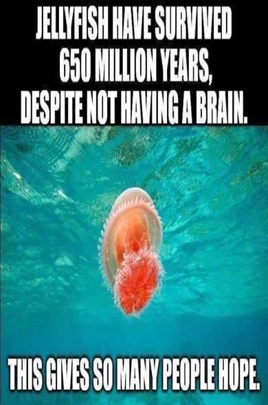 1719242794995.jpeg